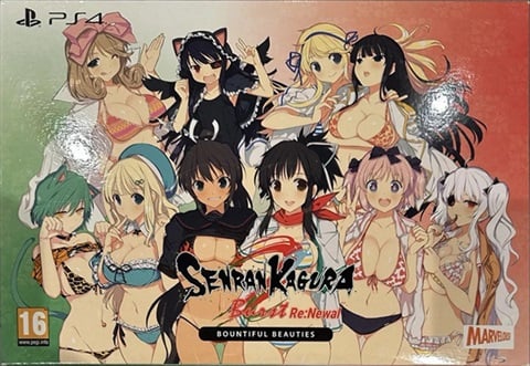 Senran Kagura Burst Re:Newal Bountiful Beauties Ed. w/Book,6xKeychain,2xCD